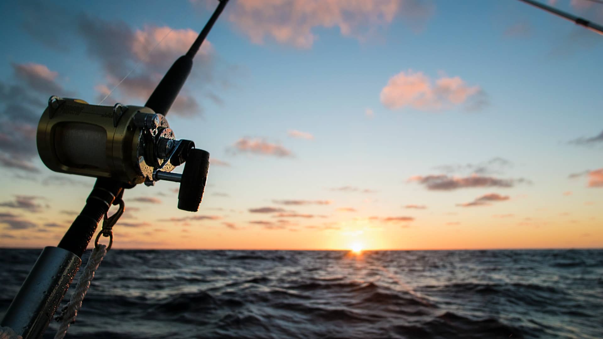 Master Offshore Trolling: Top 5 Techniques You Need to Know! (+Bonus Tip) 