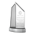 Double Peak Award (angle)