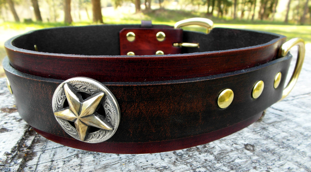 big dog collars