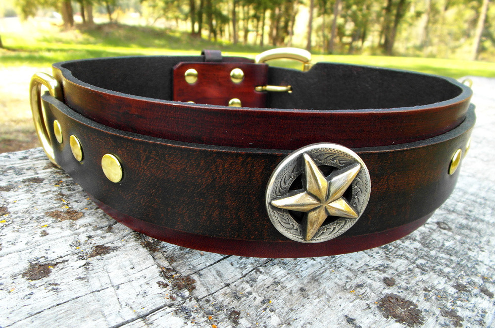 xlarge dog collar