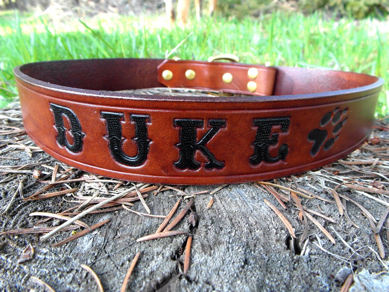 personalized leather dog collars