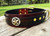 Large leather dog collar with Texas star and D rings for Great Danes, Mastiffs, Pitbulls