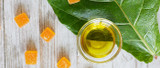 CBD Oil Vs Gummies