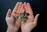 What is Considered High THC? Understanding Potency Levels