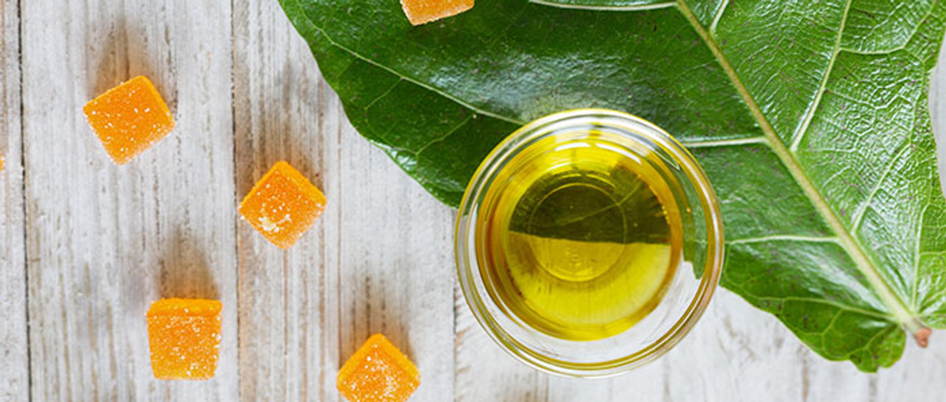 CBD Oil Vs Gummies thumbnail image
