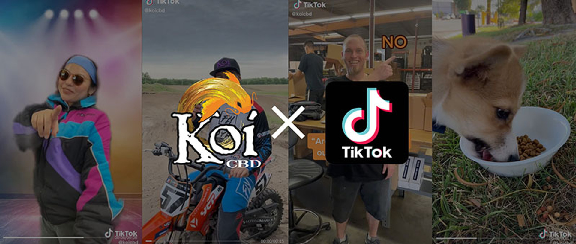 Follow Koi on TikTok! thumbnail image