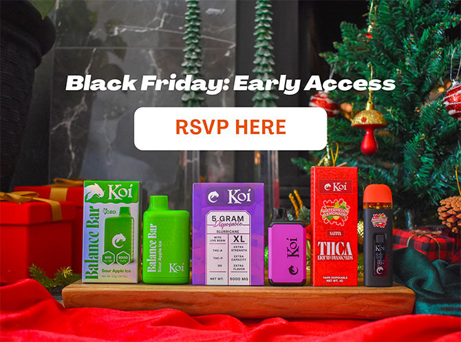 Black Friday Early Access