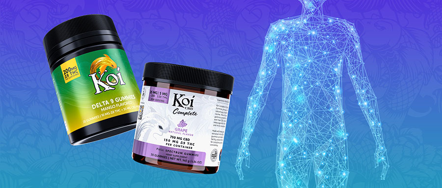 How Long Does Delta-9 Stay In Your System Urine Test How Long Does Delta 9 Stay in Your System? - KOI CBD