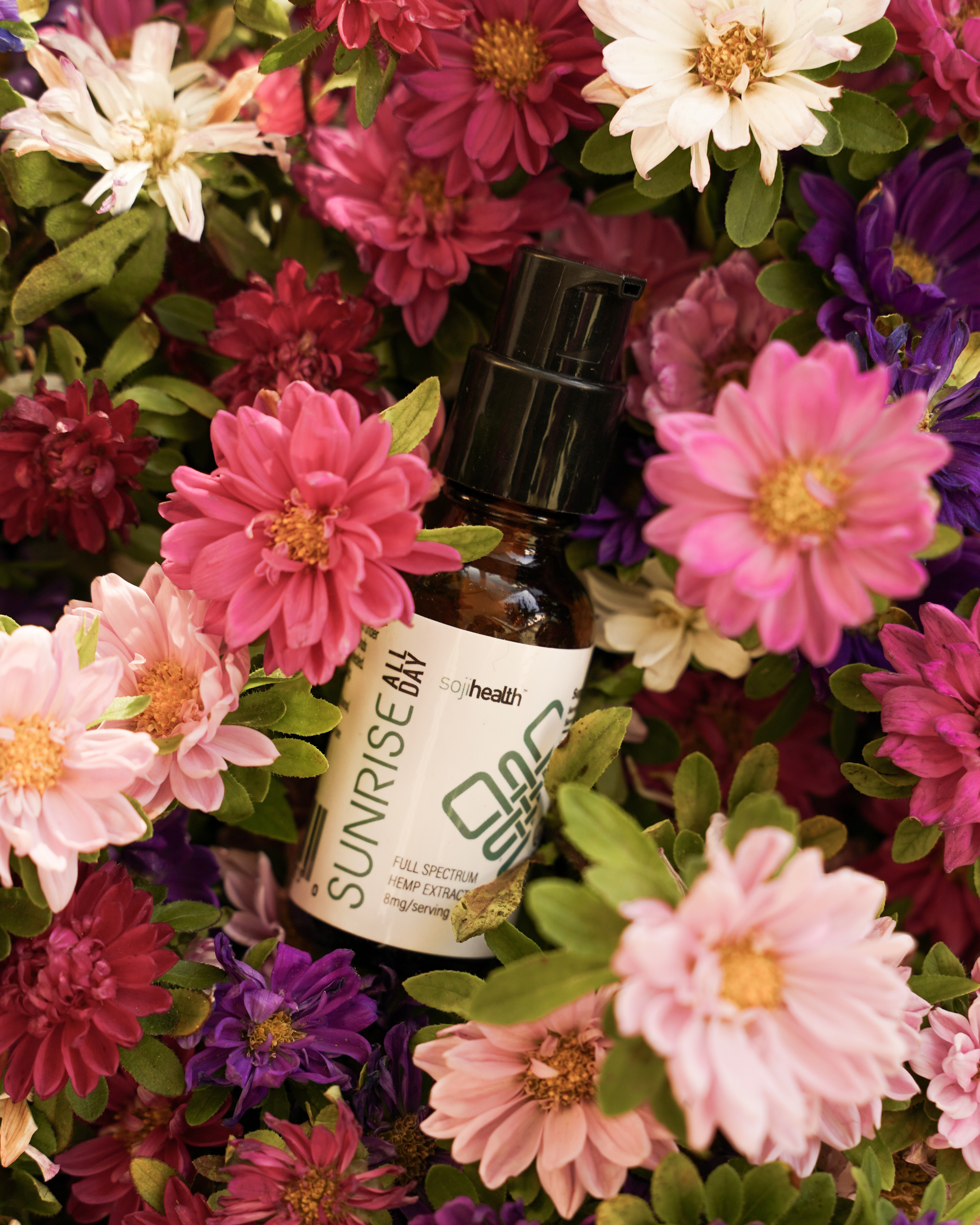Pure CBD 101: What it does and How it is Good for Our Health