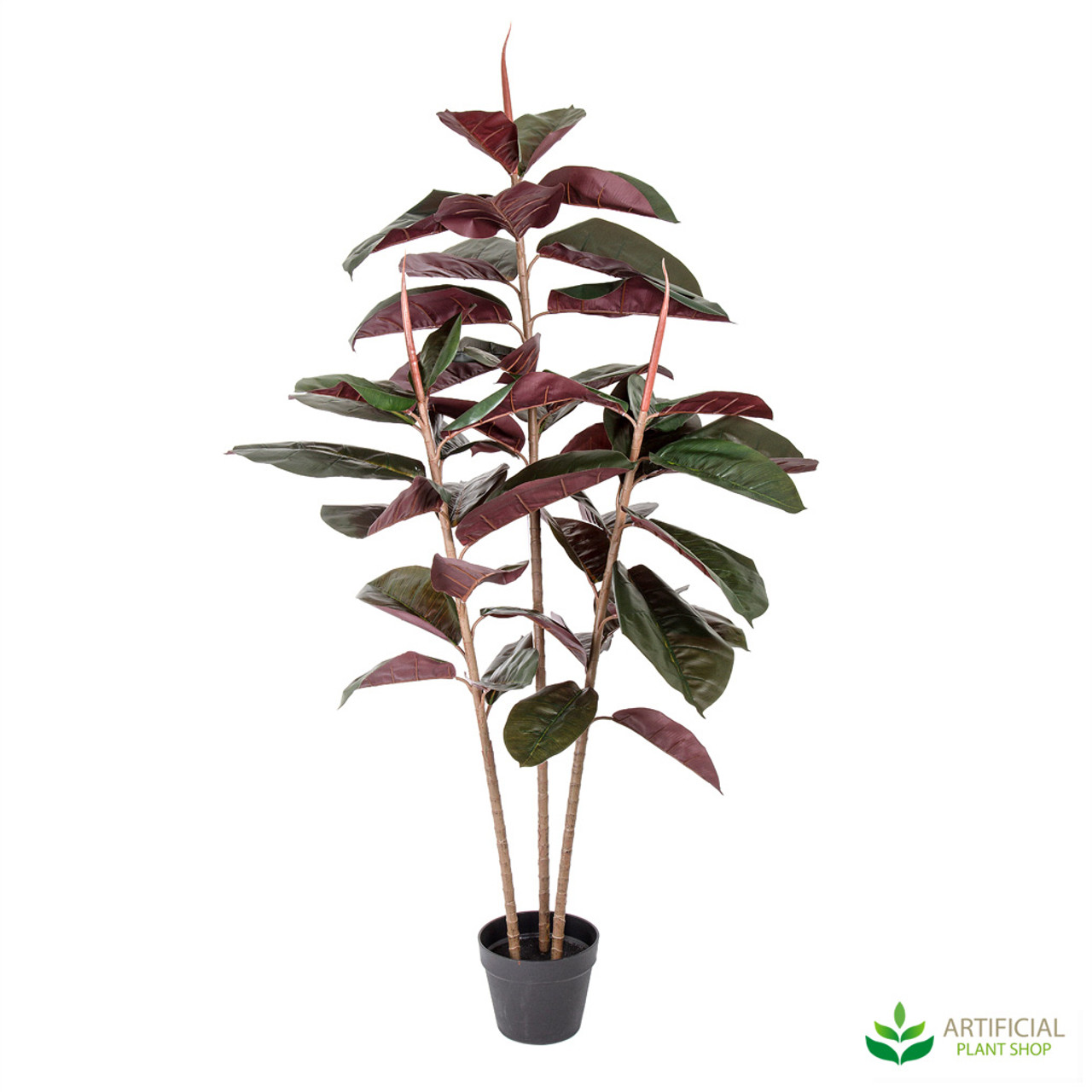 Rubber Tree Real Touch 1.45m