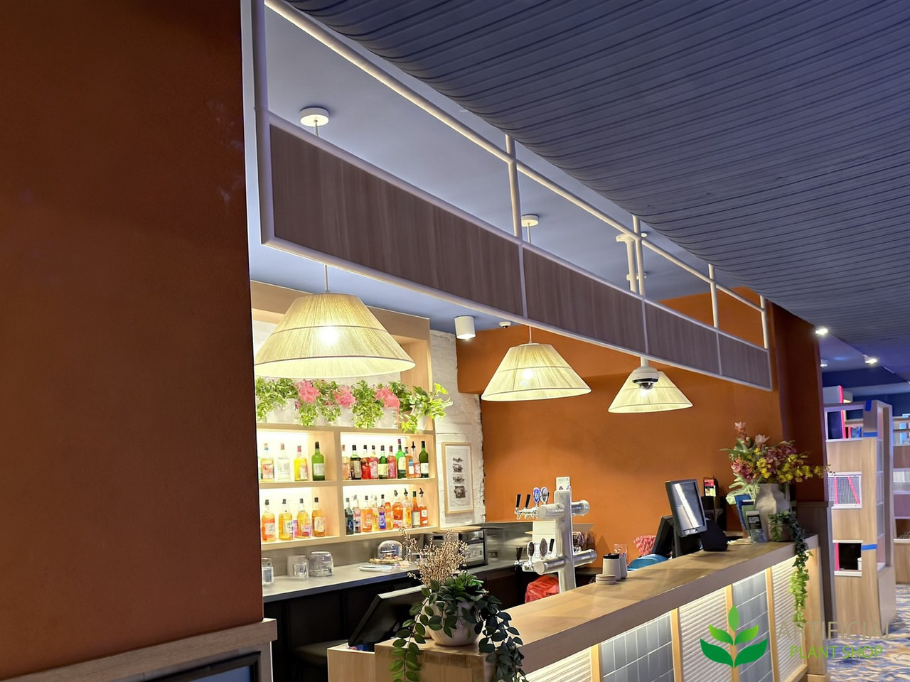 hotel bar and bulkhead before faux hanging plants were fitted