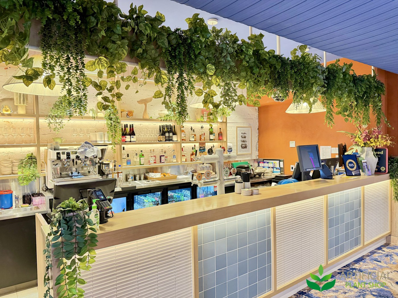 hotel bar after artificial hanging greenery kits were fitted along the bulkhead