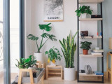 11 Types of Potted Artificial Plants to Enhance Your Décor Game