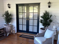 Best Plants for a Front Door Entrance