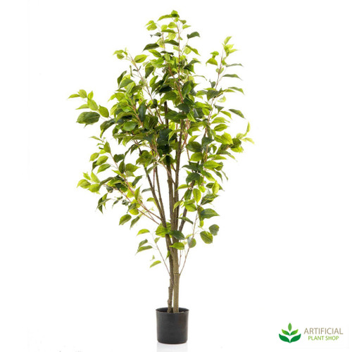 Artificial Ficus Trees