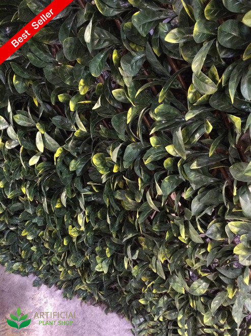 Laurel Trellis Expandable 1m x 2m