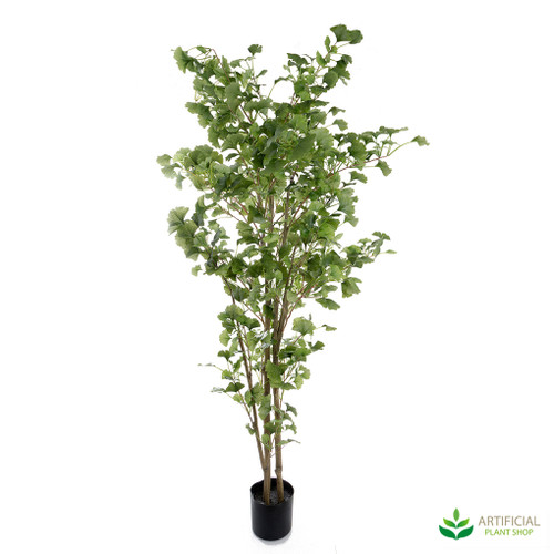 Artificial Ginko Tree 1.8m Artificial Ginko Tree 1.8m