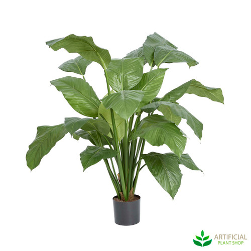 Artificial spathiphyllum plant 1m with 24 large glossy tropical leaves arching outward from pot