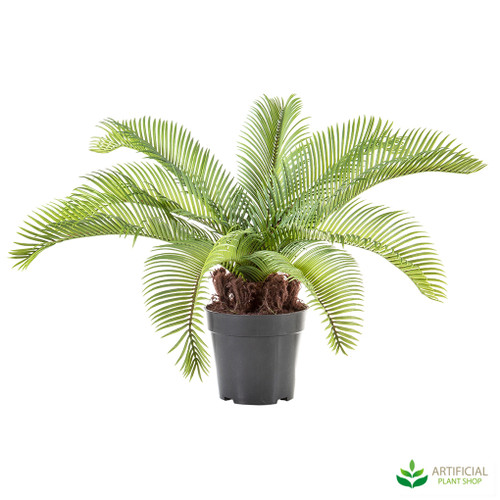 artificial Cycad palm artificial Cycad palm