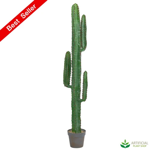 Artificial Cactus plant