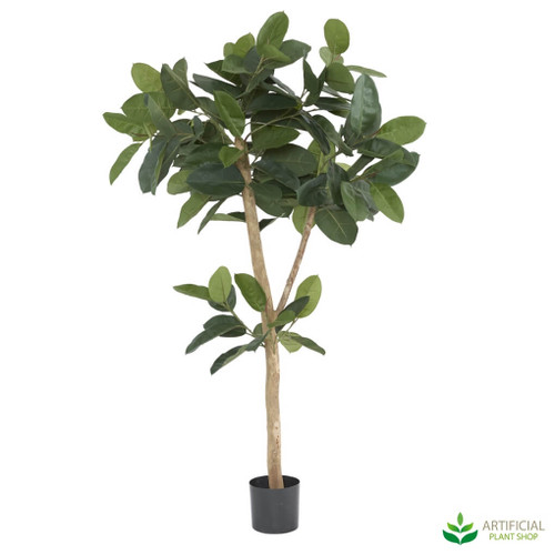 lifelike rubber tree lifelike rubber tree