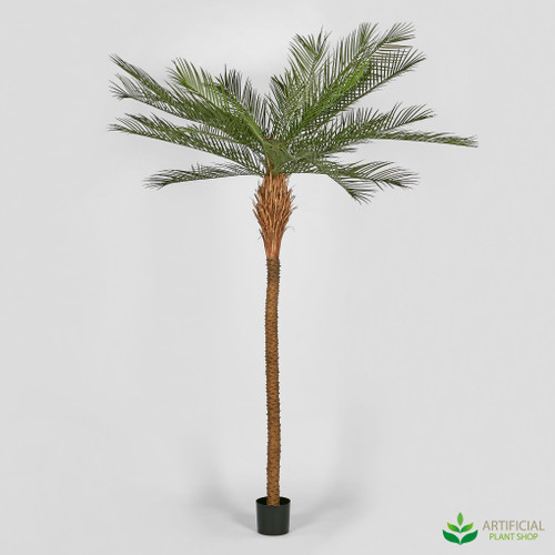 artificial phoenix palm