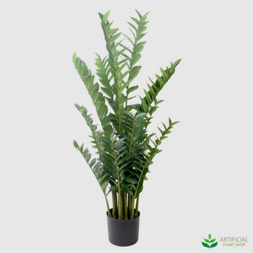 tall artificial Zanzibar plant
