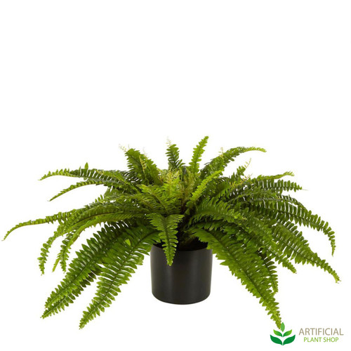 fake Boston fern in black pot 55cm