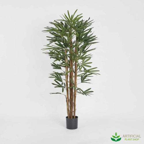 Artificial Raphis Palm Thin Leaf 1.7m in black pot, full front view