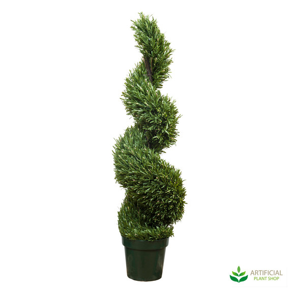 Rosemary Spiral Tree 1.2m