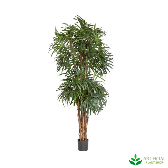 Artificial raphis palm 2.1m full height showing tall elegant form with dense narrow leaf canopy