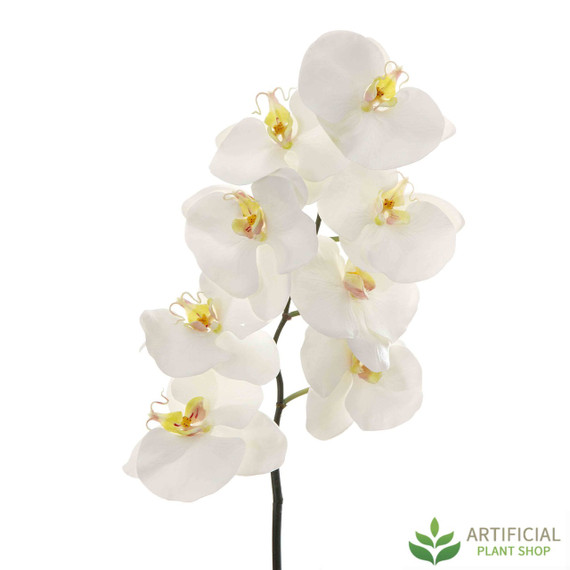 White Phalaenopsis Orchid Spray 100cm (pack of 6)