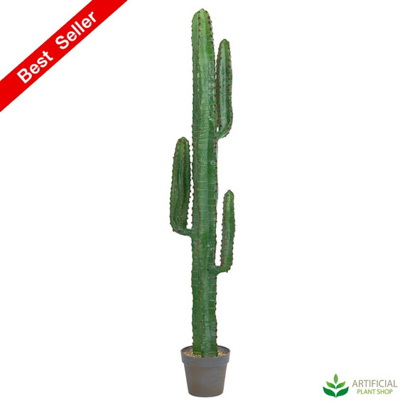 Artificial Cactus plant