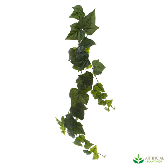 Giant Ivy Vine
