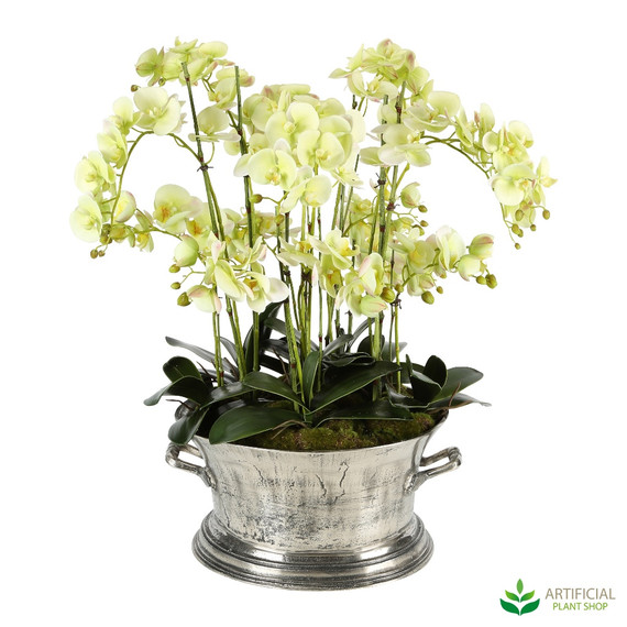 green orchid flower arrangemnt