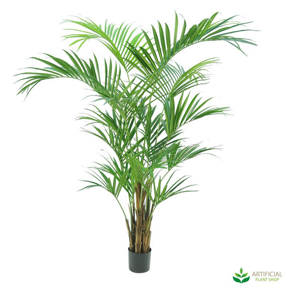 Artificial kentia palm 2.1 metres tall