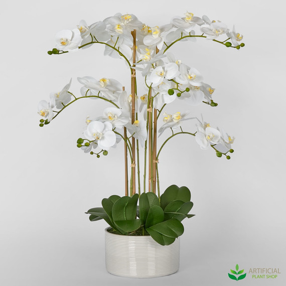 artificial white phalaenopsis orchid