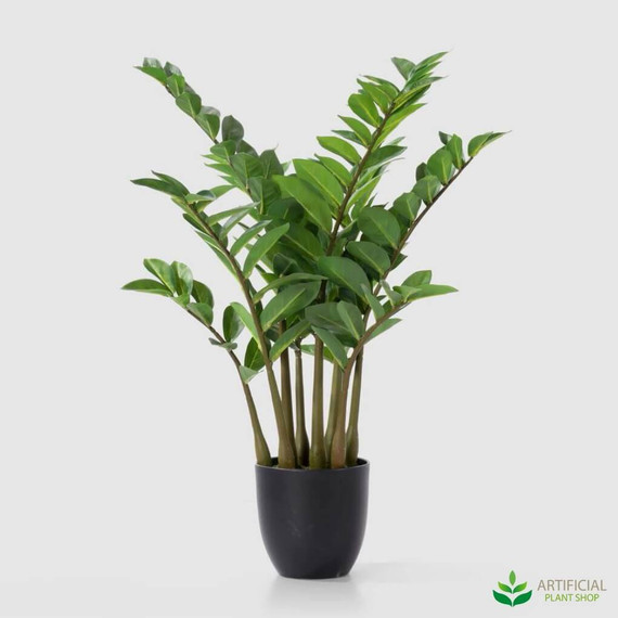 artificial smargago zanzibar plant