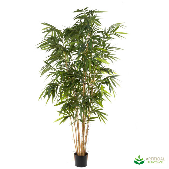 Bamboo Tree 2.4m with natural trunks