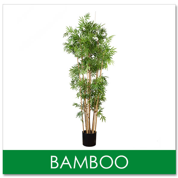 artificial bamboo trees