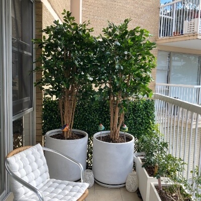 Balcony Trees