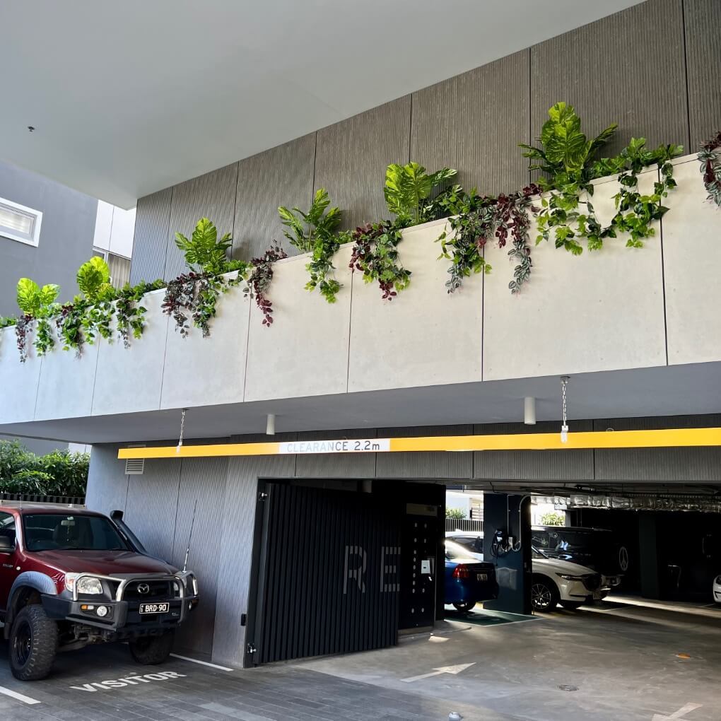 Car Park Plants