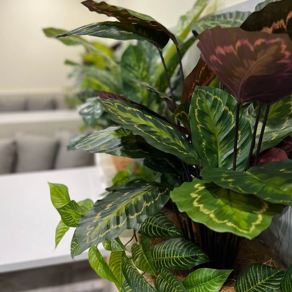 DFAT Office Planter Boxes