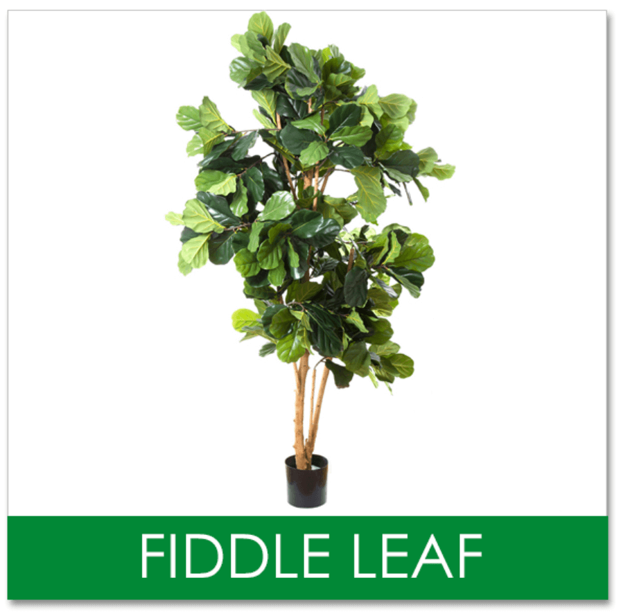 Artificial Trees & Plants, Premium Quality & ultralifelike. Australia