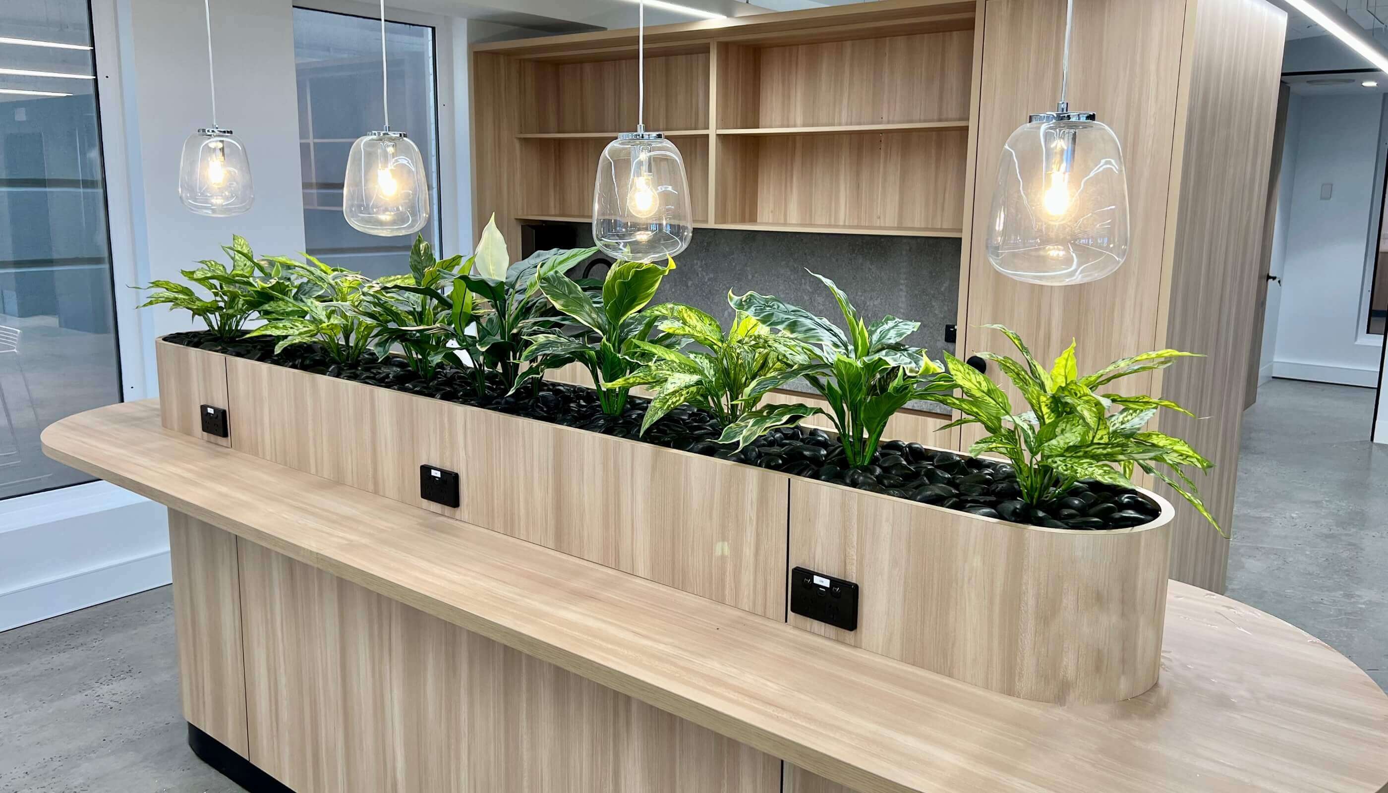 Government project installation