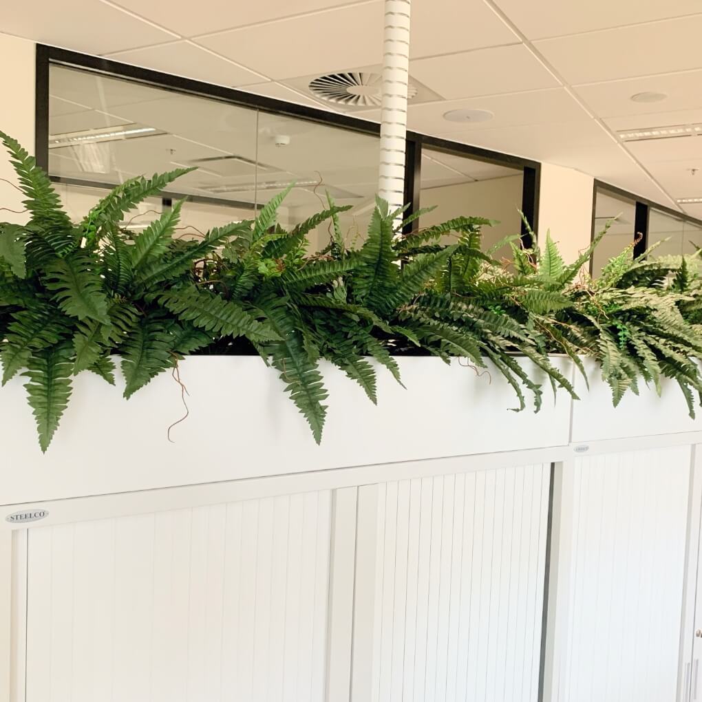 Melbourne Office Installation