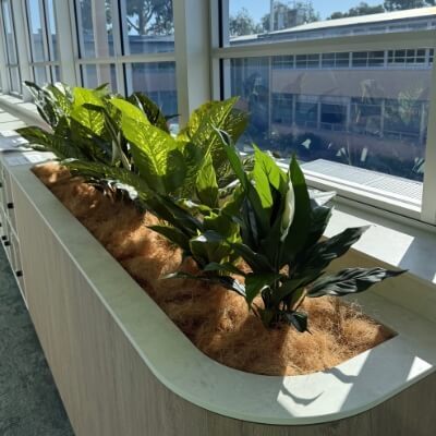 Planter Box