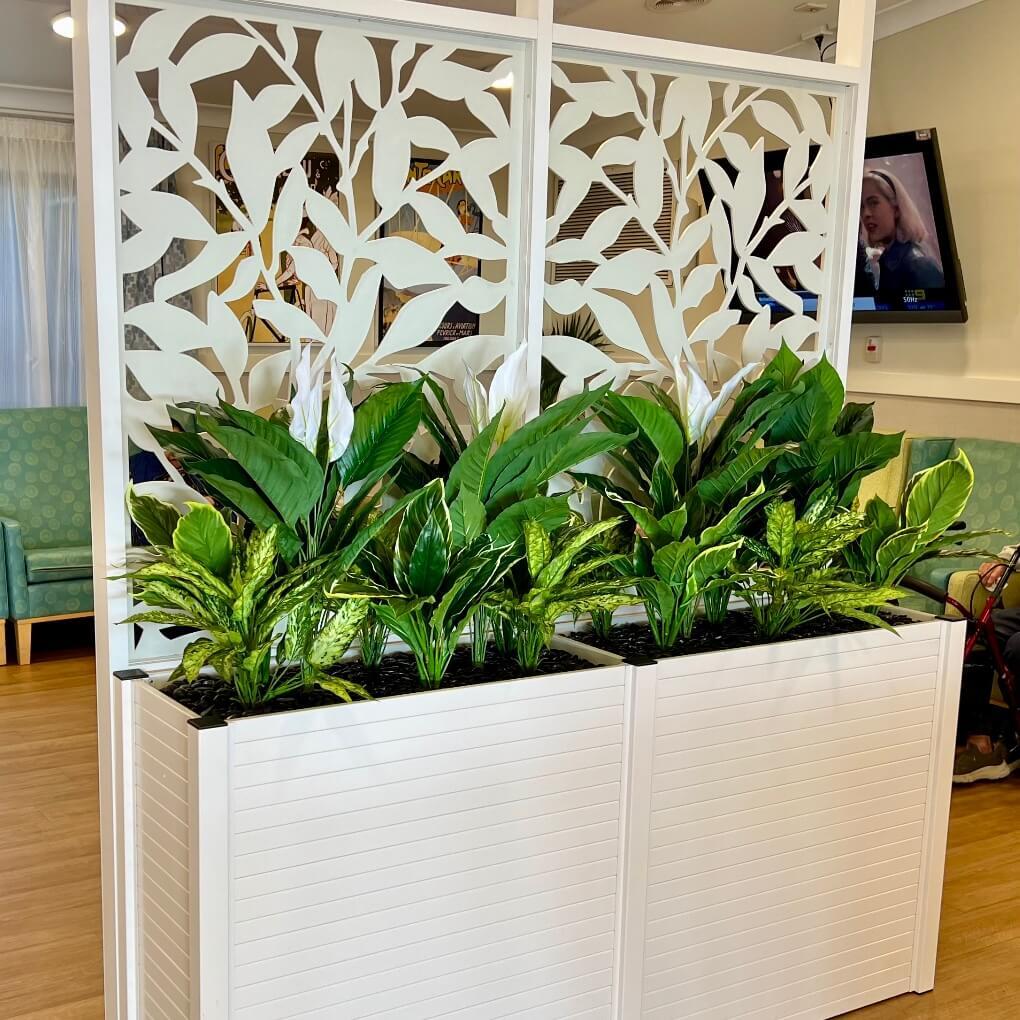 Plants in White Planterbox