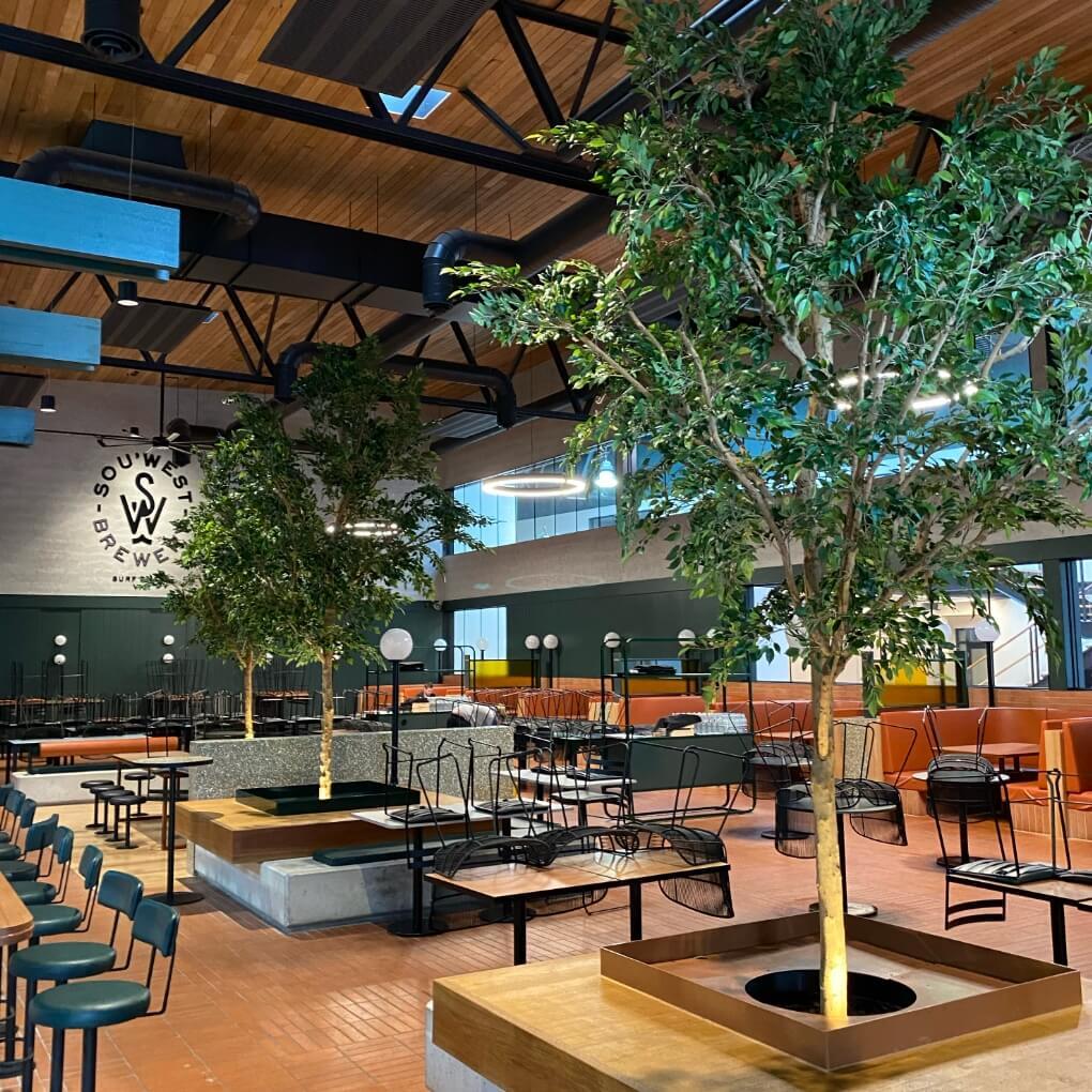 Sou West Brewery Trees