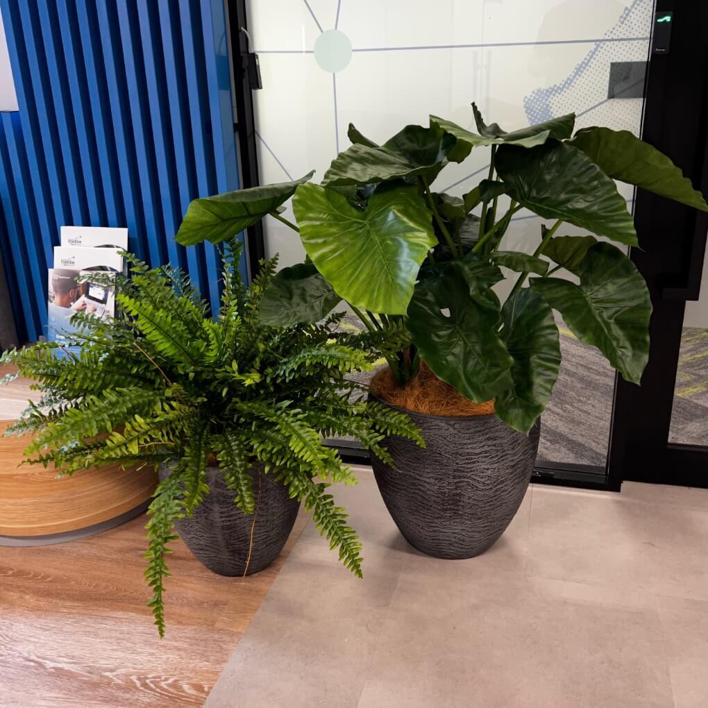 Team Viewer Office Install